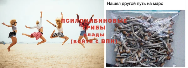 2c-b Верхний Тагил